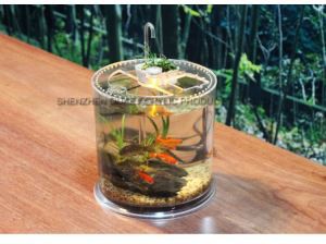 Nagykereskedelmi Egyedi Acer Acrylic Fish Tank Műanyag Akvárium